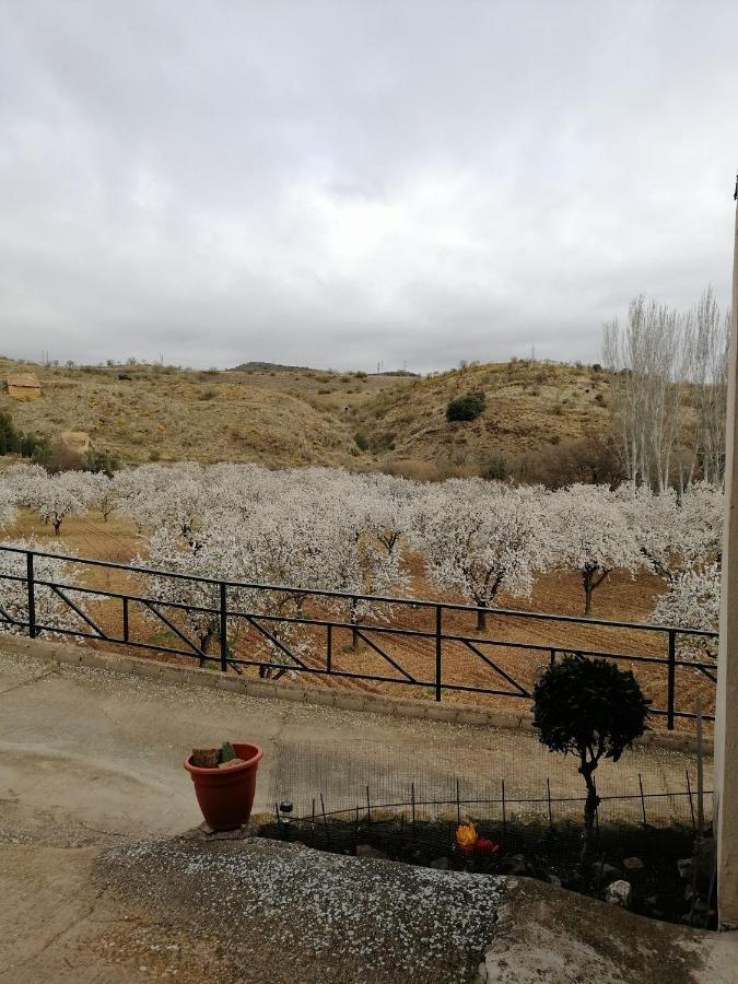Apartamento Rurales Camino Del Cid *