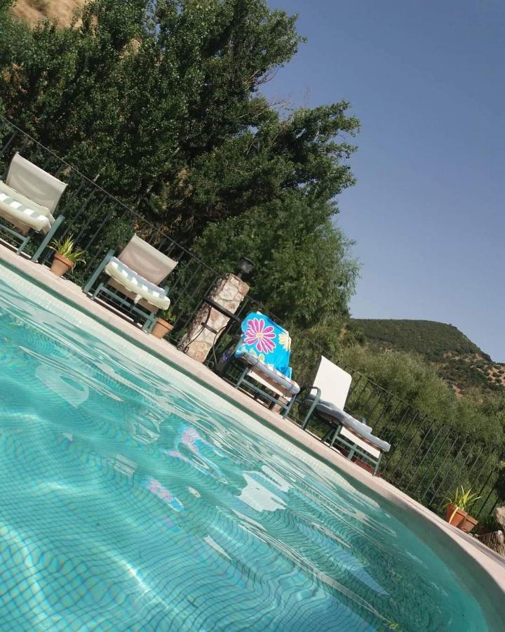Cortijo Pesquera Country house *