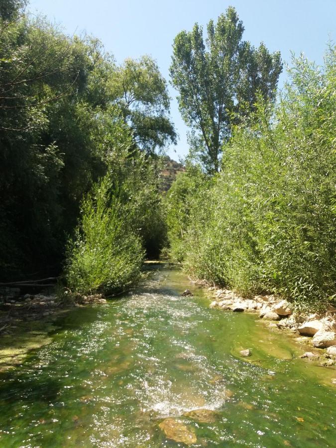 Cortijo Pesquera Country house *