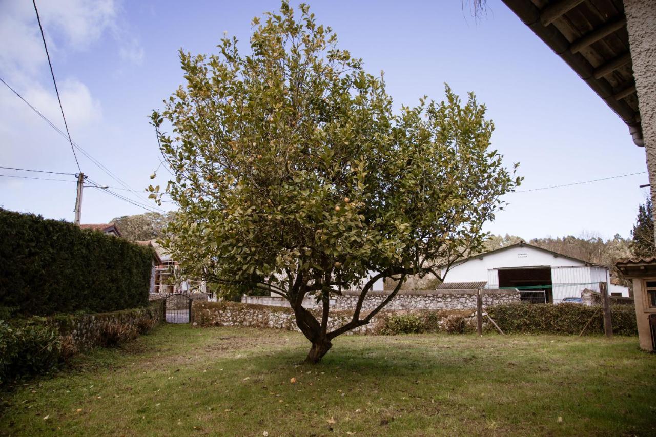 El Vallau Holiday home *