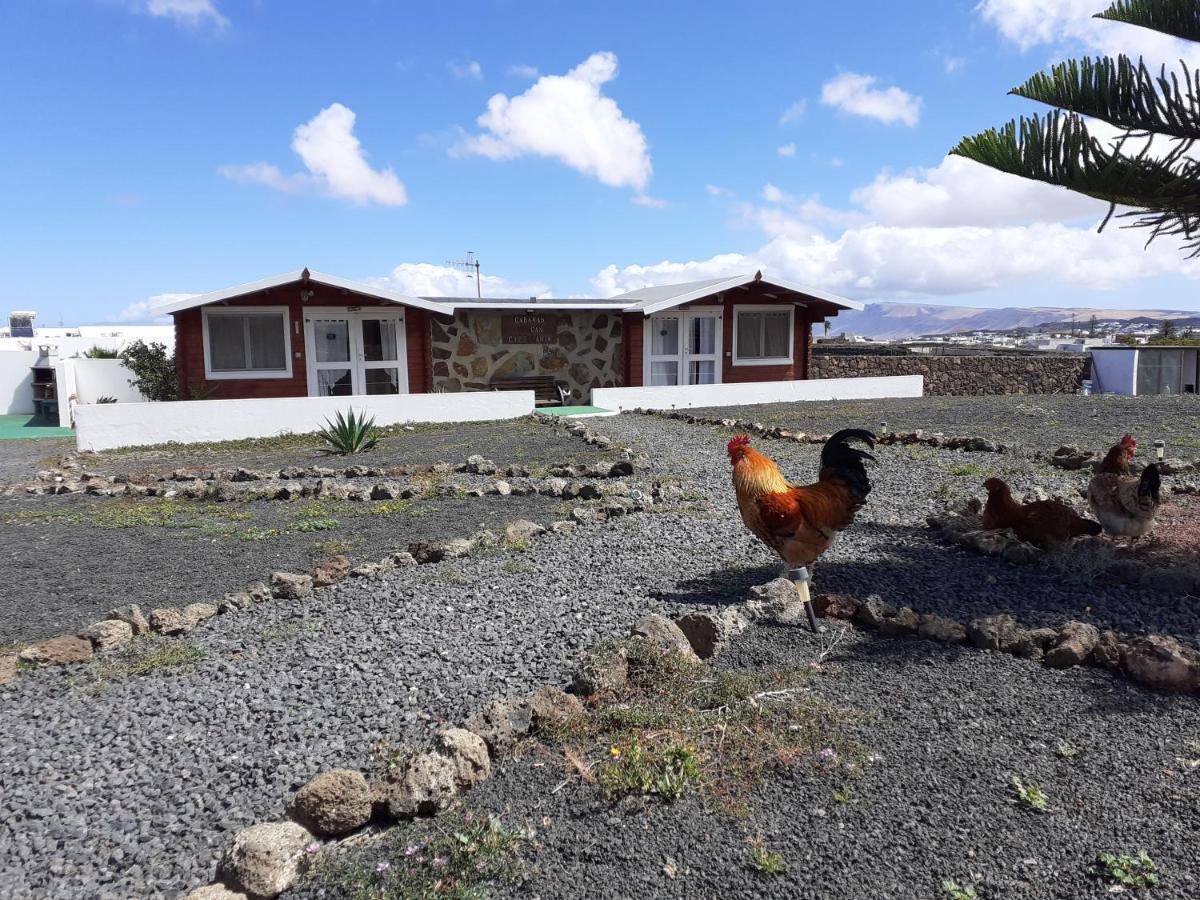 Сasa de vacaciones Volcán Capellania Tinguaton