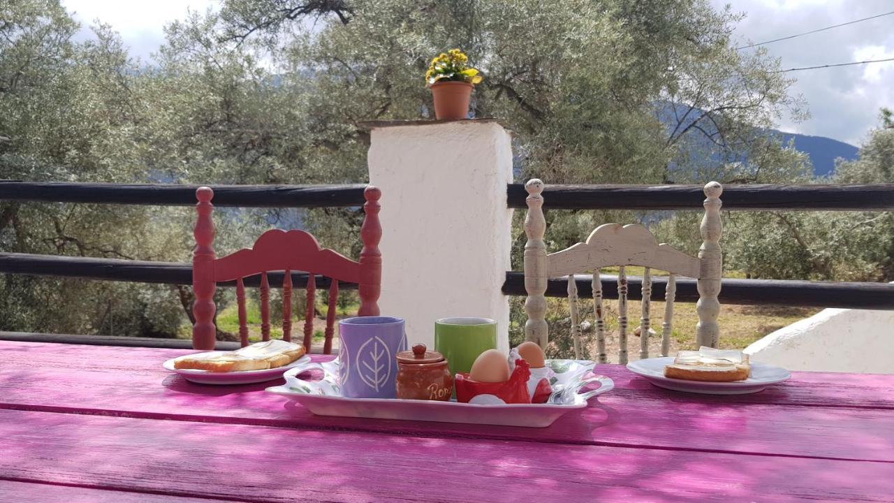 Gateway To The Alpujarras, 'cortijo Derry'