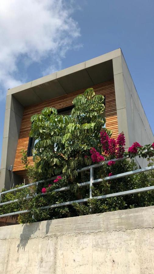 Villa Luxury & Golf