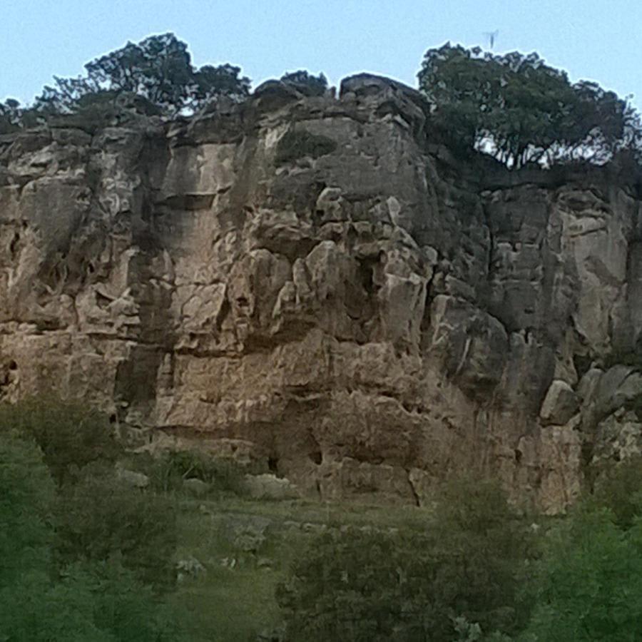 Alisos