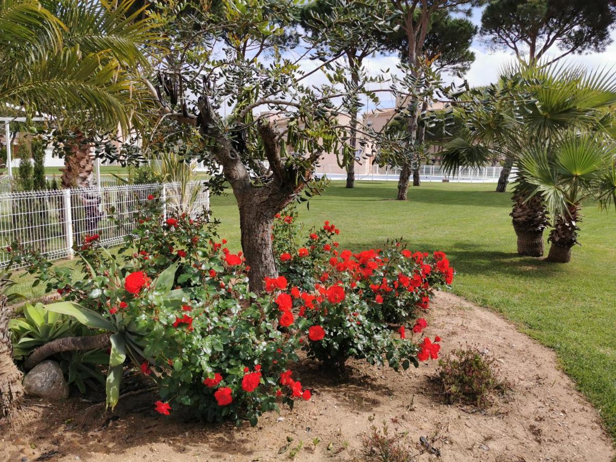 Apartamento Indo Loma Sancti Petri