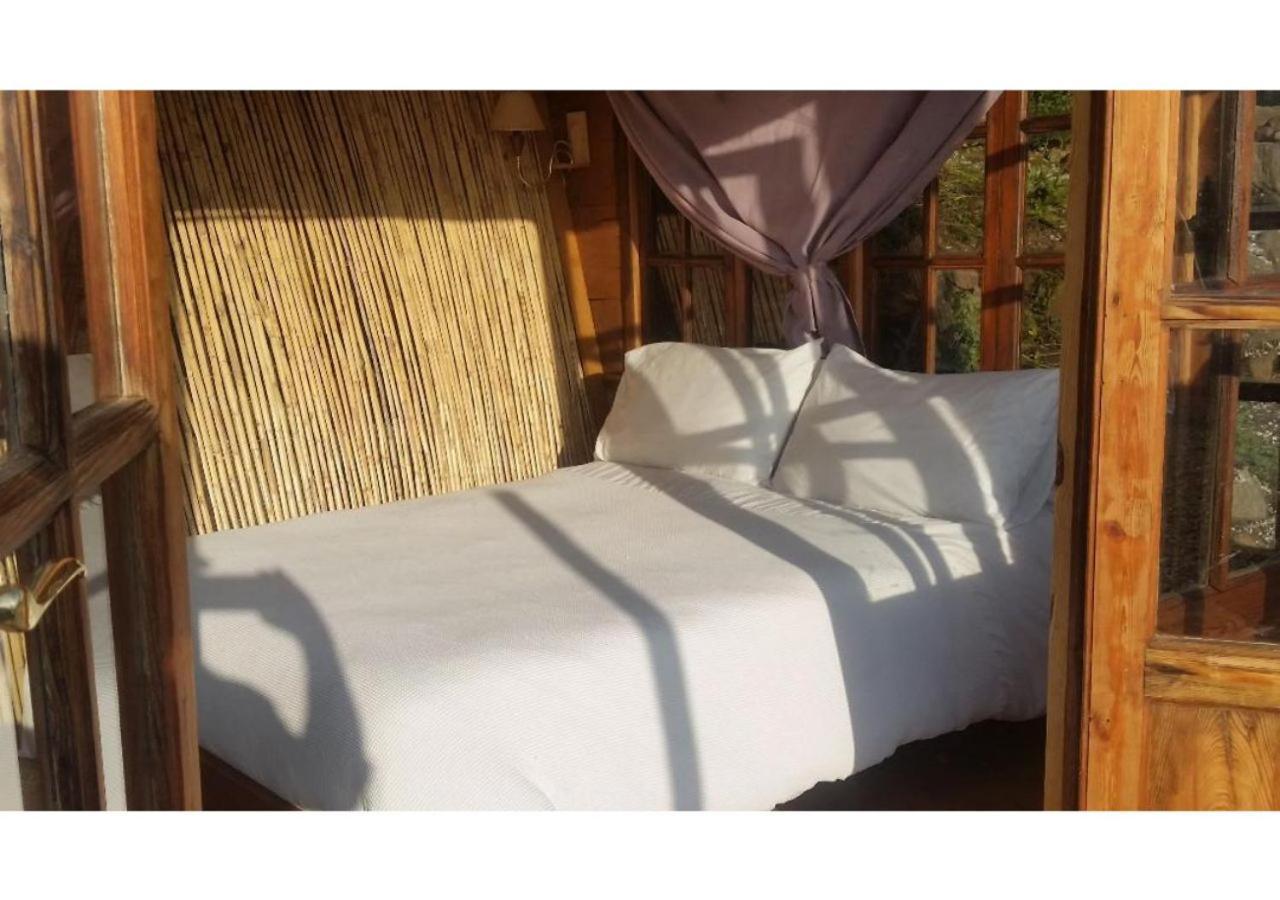 Treehouse ,casa Arbol, With