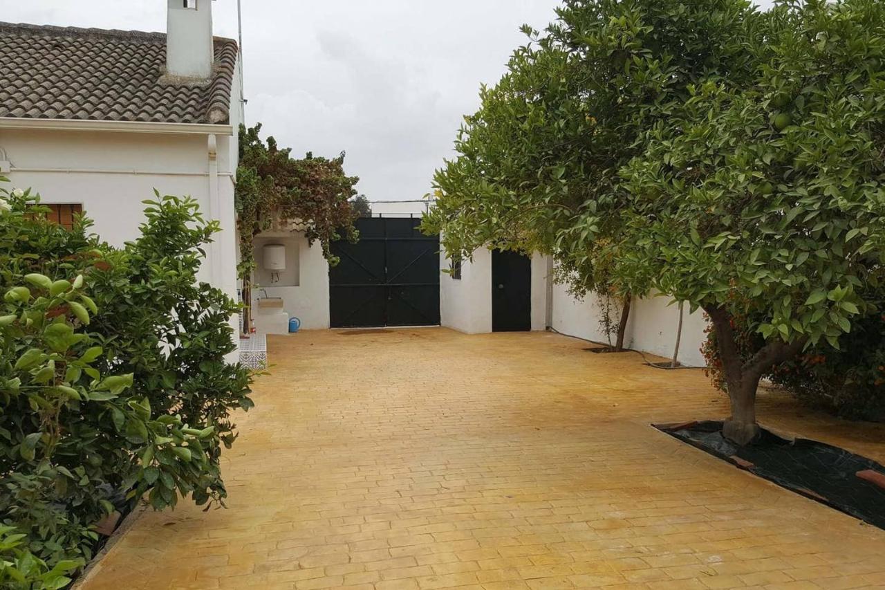 Gran Con Patio En Encinarejo De Córdoba *