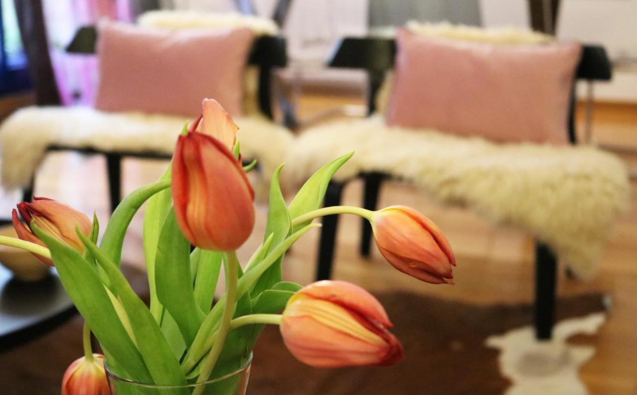 Apartamento Impresionante Piso En El Centro De Con Terraza Y Parking Pontevedra