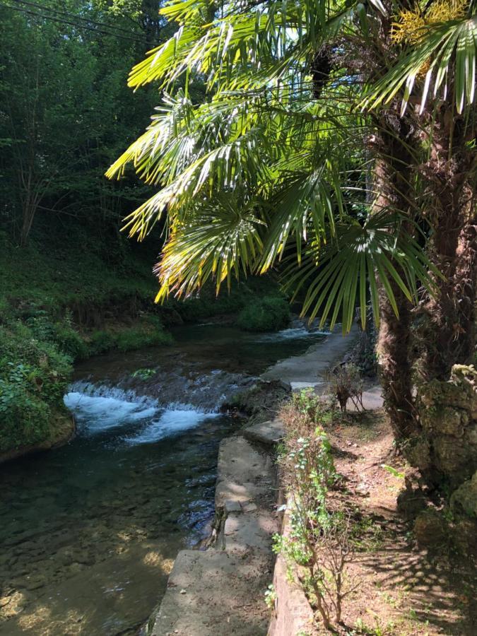 Camping Càmping Molí De Vilamala