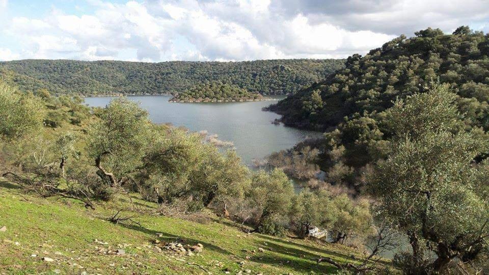 El Balcon De La Brena