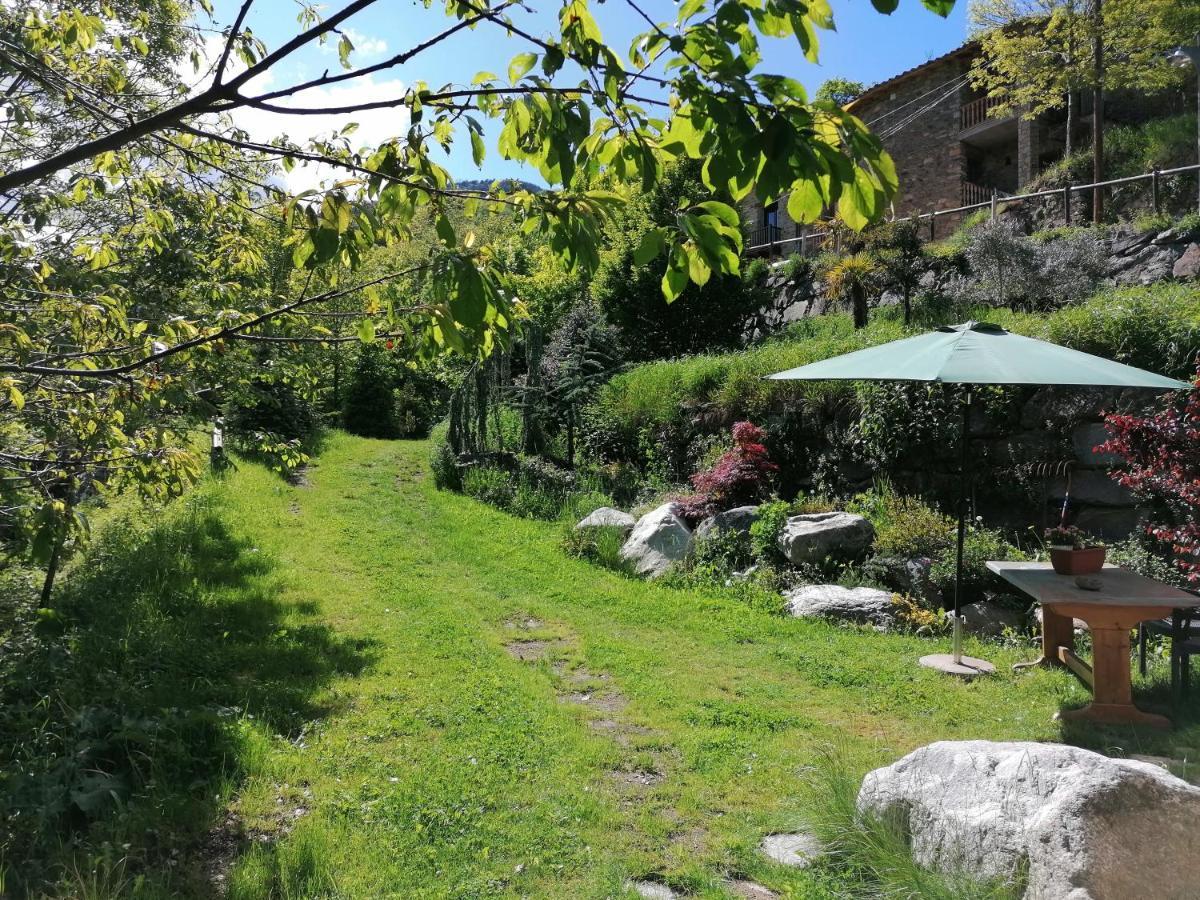 Els Pins D'abella Apartment