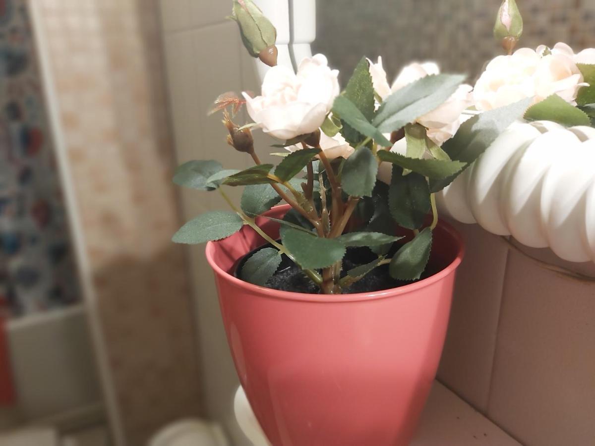 Apartamento El Rincon Del Pintorenorme Piso A 100mt Laurel Logroño