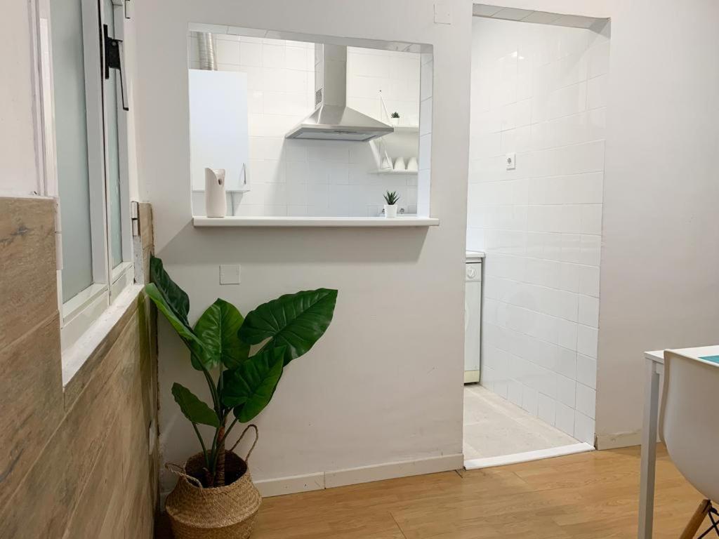 Centro Costa De La Luz Apartamento Sanlúcar de Barrameda
