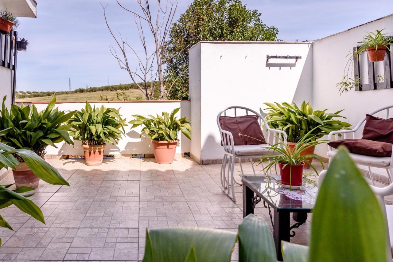 Homestay El Chorro *