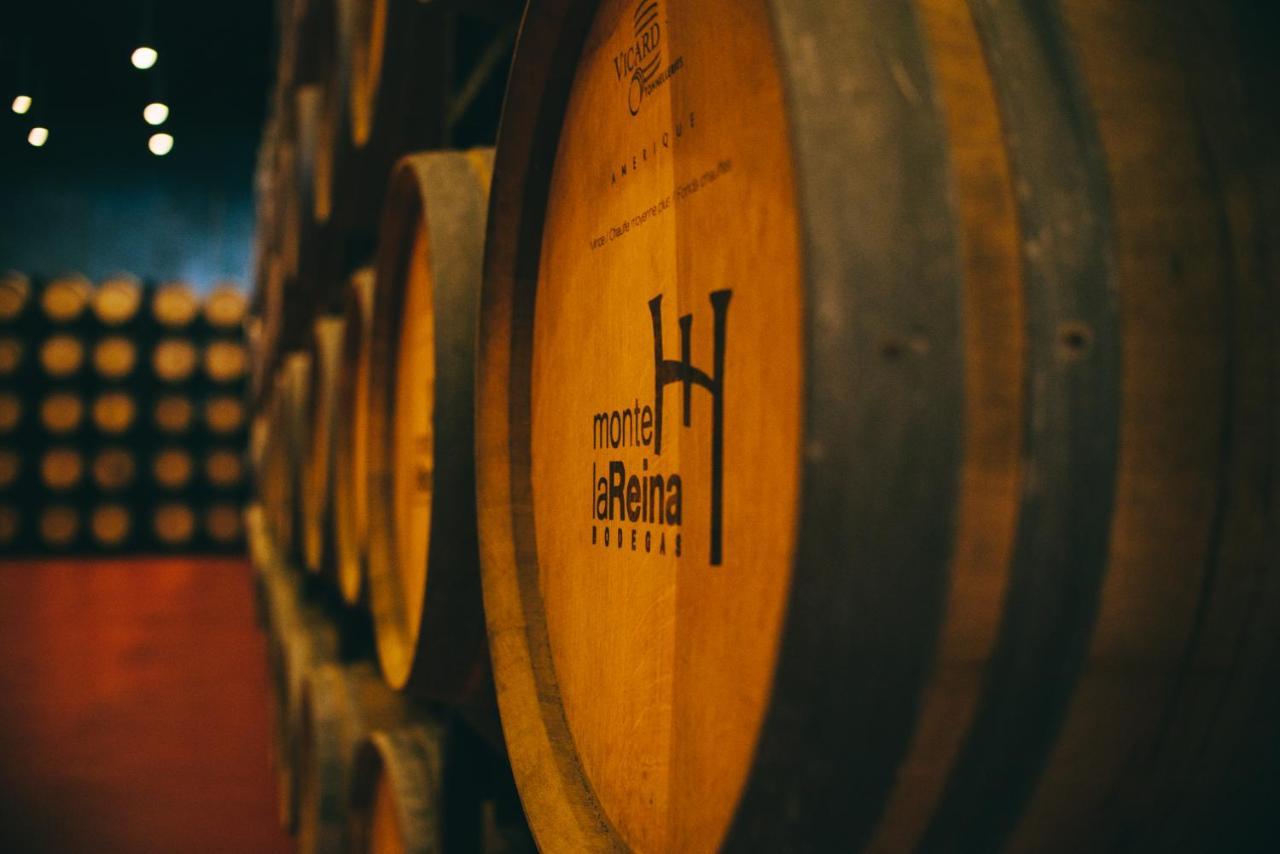 Castillo De Monte La Reina Real & Bodega * Toro