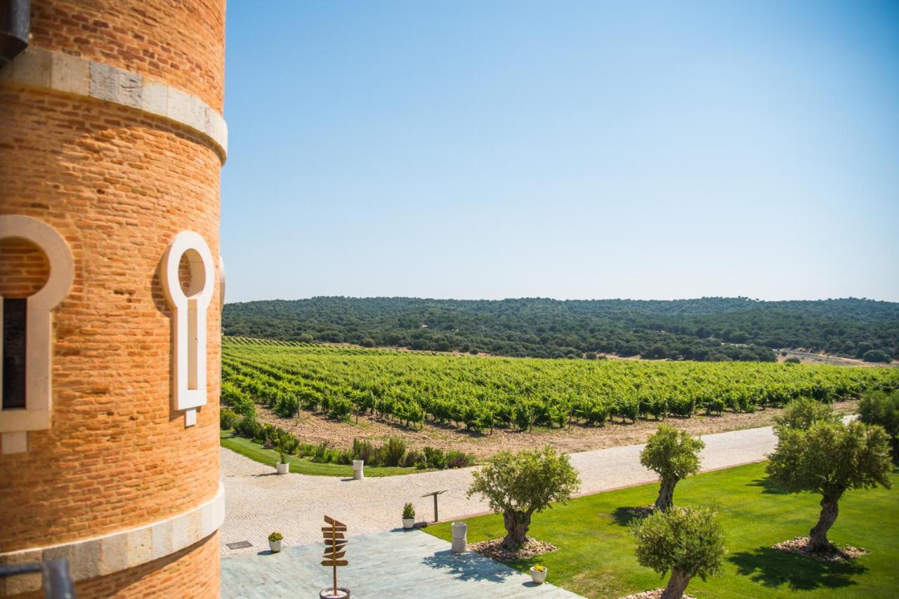 Hotel Castillo De Monte La Reina Real & Bodega Toro