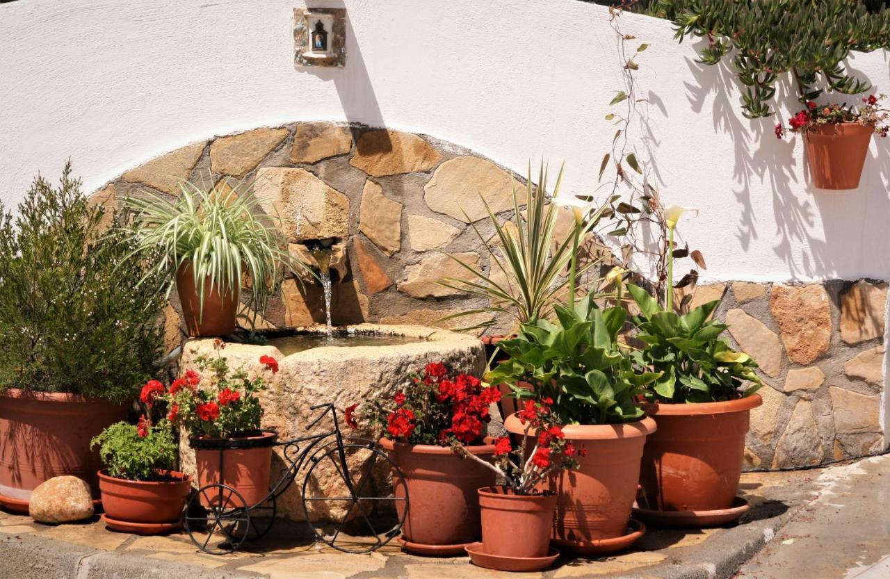 Apartment Casita Of Casa Olivar