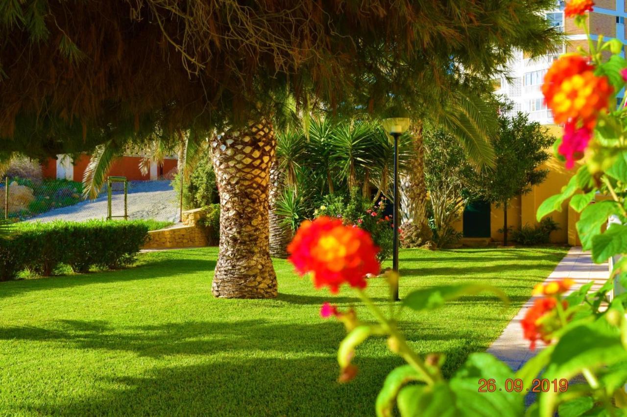 Bungalo En Primera Linea De La Playa Apartment *