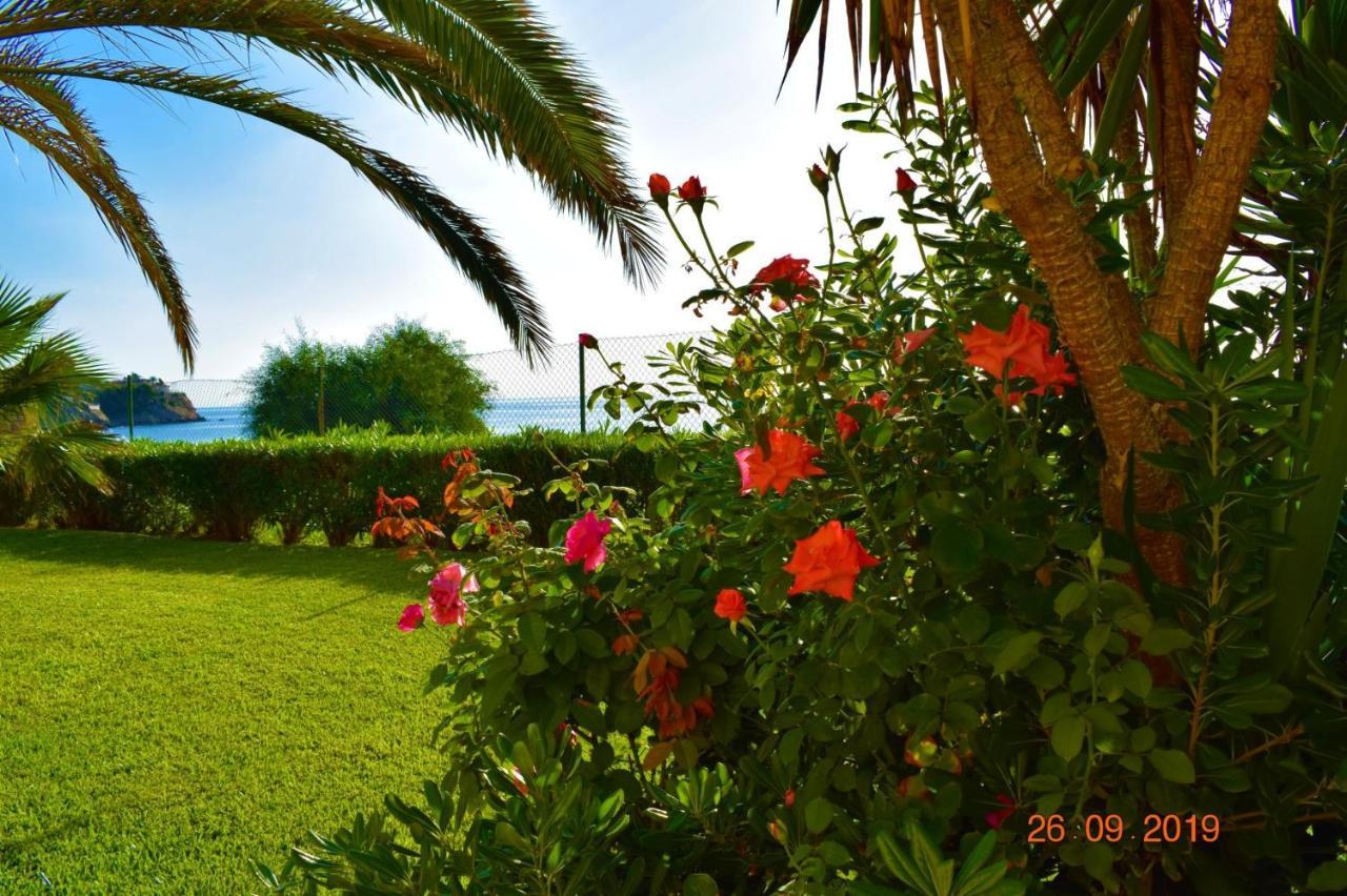 Bungalo En Primera Linea De La Playa Apartment *