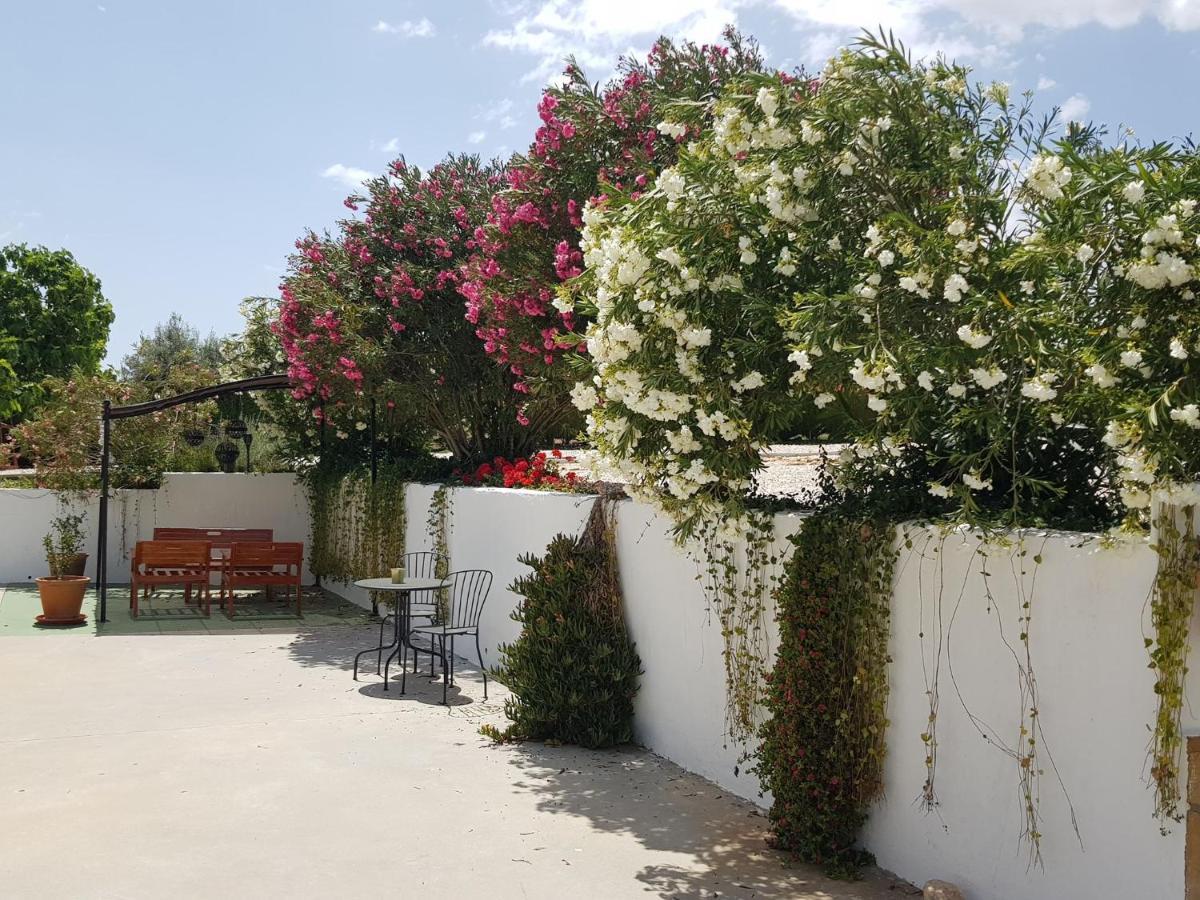 Apartment Casita Of Casa Olivar Tocon