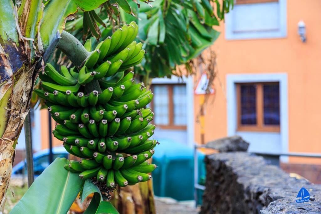 Telémaco Blue Apartamento Agulo
