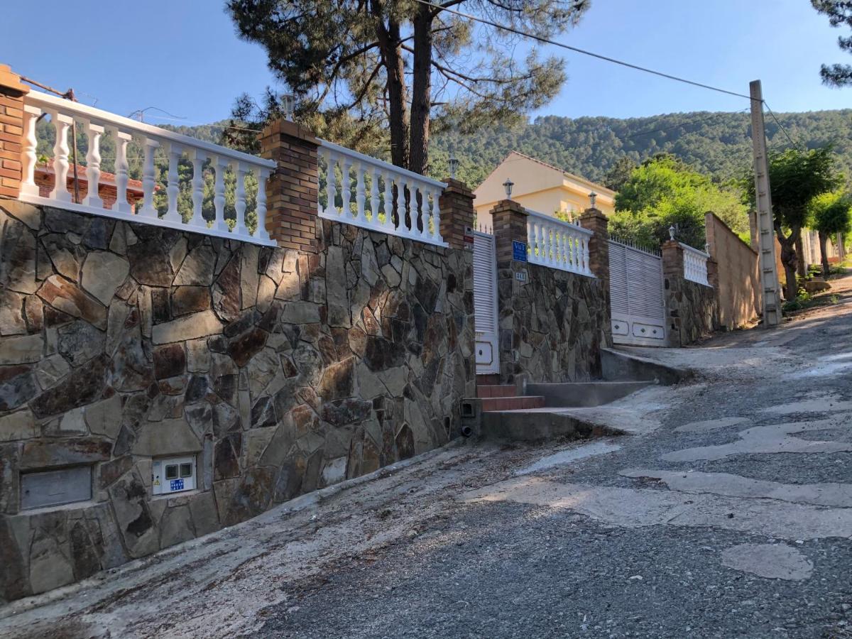 En El Corazón De La Sierra De Gredos, Pinar De La Atalaya-tiemblo