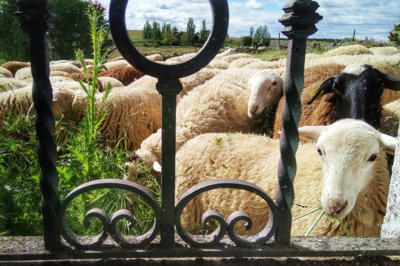 Casa Quevedo Сasa de vacaciones