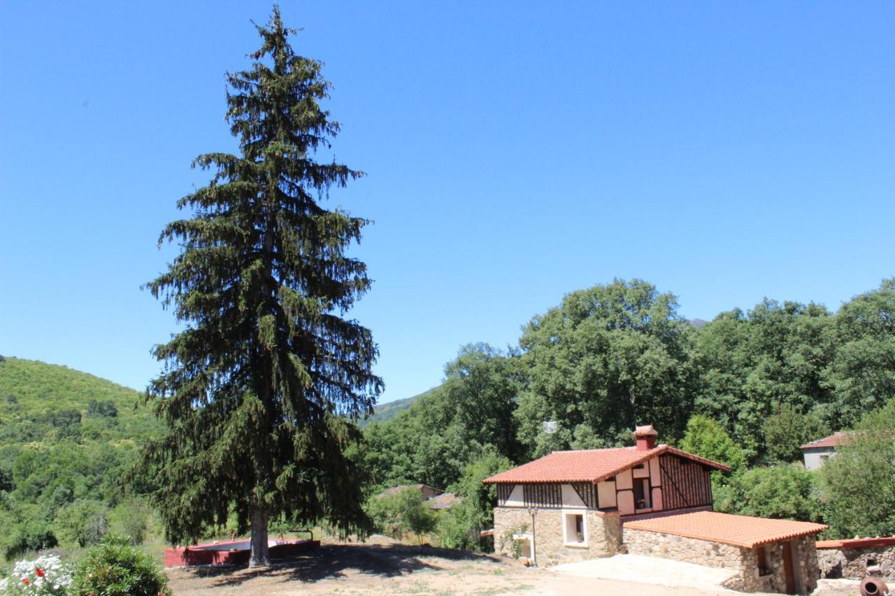Сasa de vacaciones Turístico La Alegría De La Huerta *