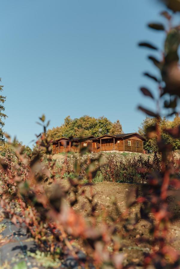 Сasa de vacaciones Turístico La Alegría De La Huerta
