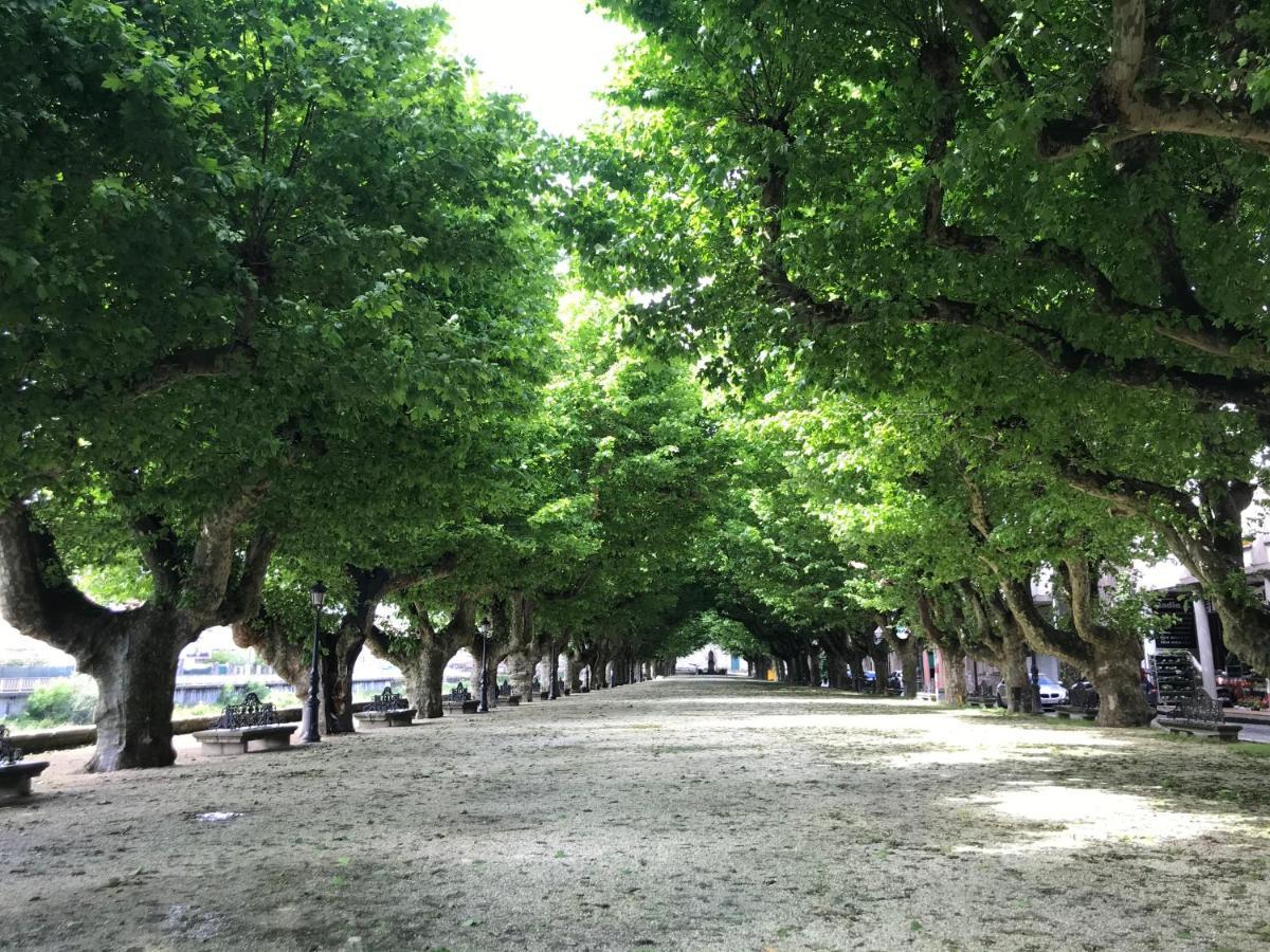 Centro P1 By Ur * Padron
