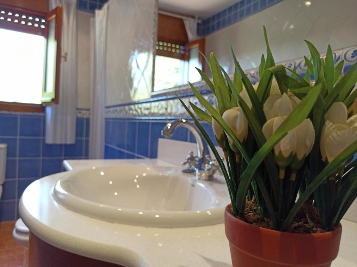 Casilla Del Pinar Holiday home
