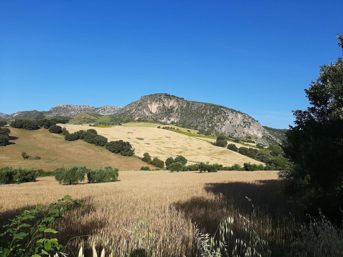 Huerta La Laja,casa Grande