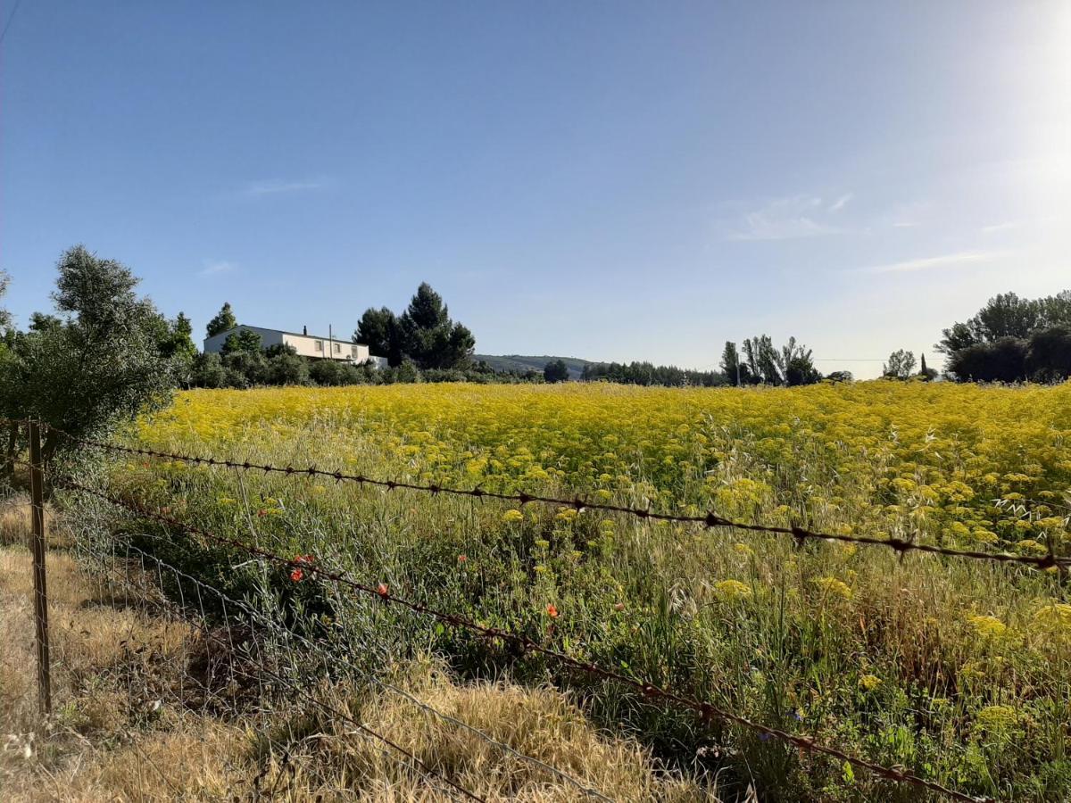Country house Huerta La Laja,casa Grande