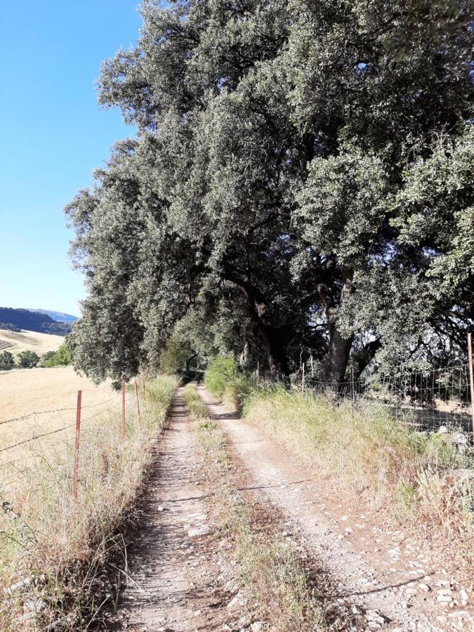 Huerta La Laja,casa Grande Ronda