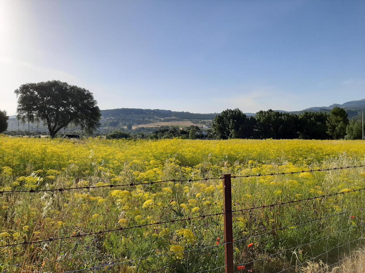 Huerta La Laja,casa Grande Country house