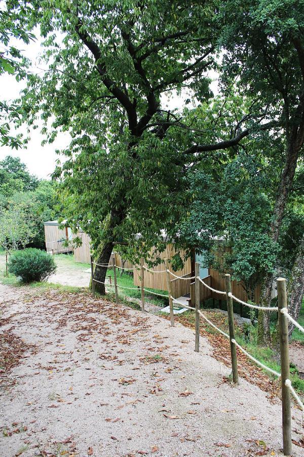 Aloia Nature, Forestal Apartamento Tui