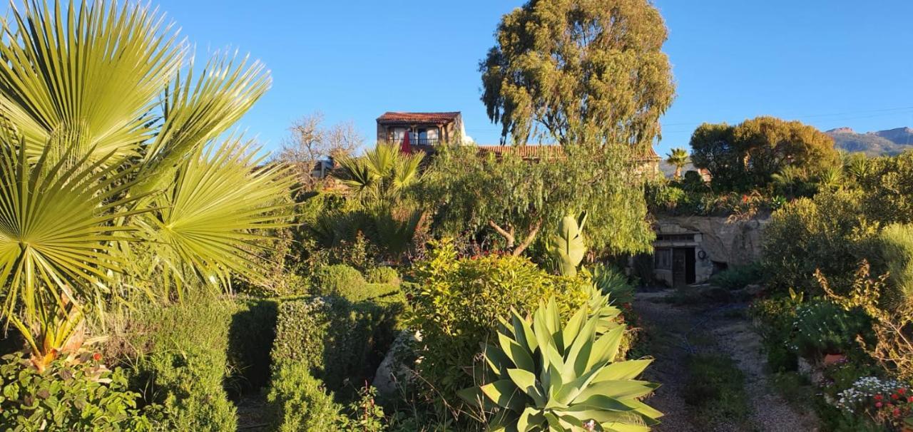 Сasa de vacaciones Tenerife Nature Retreat Ifonche