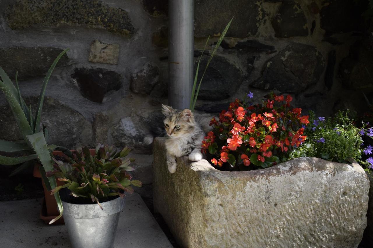 Country house Martiamuno Landetxea *
