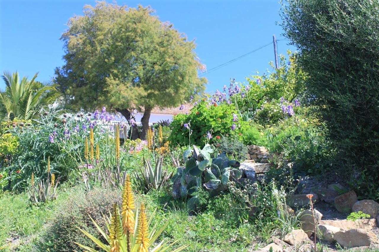 Cerro Brae Villa