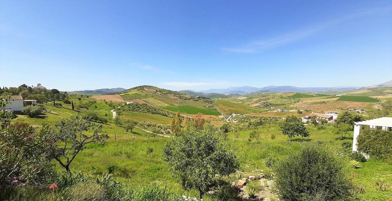 Cerro Brae