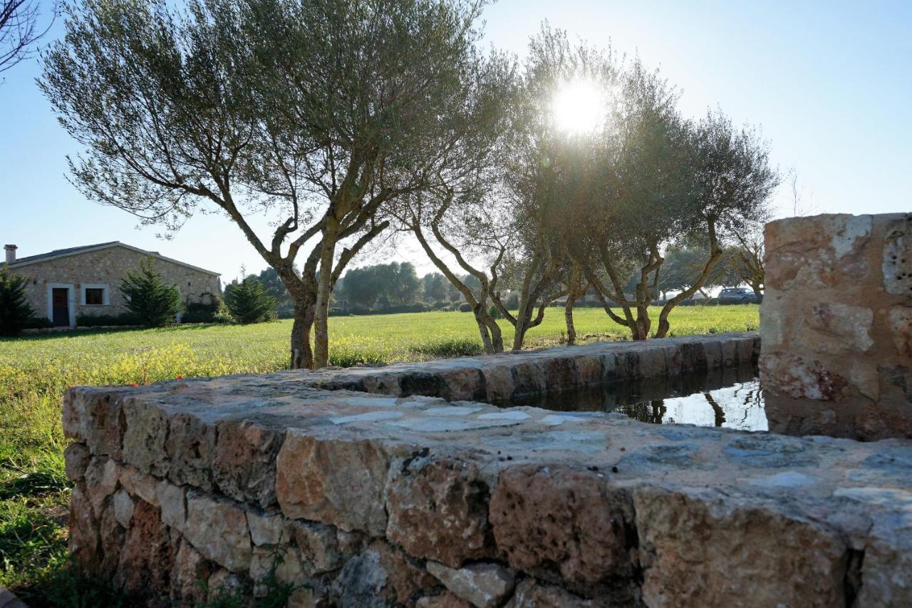 Vmg Horse Ranch Hotel