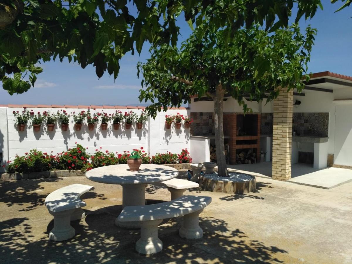 Caseta Del Chato Deltebre