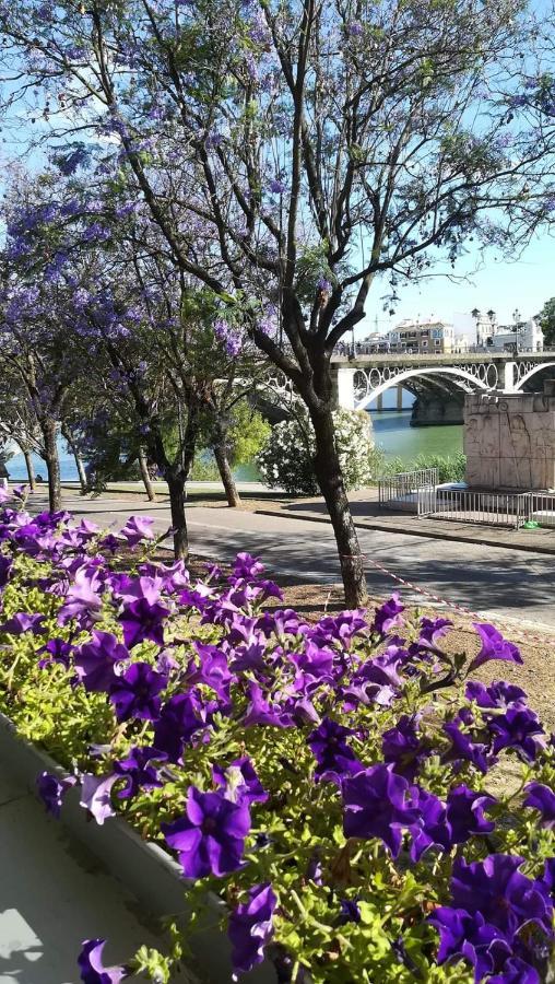 Apartamento Anna - Con Encanto En Triana *