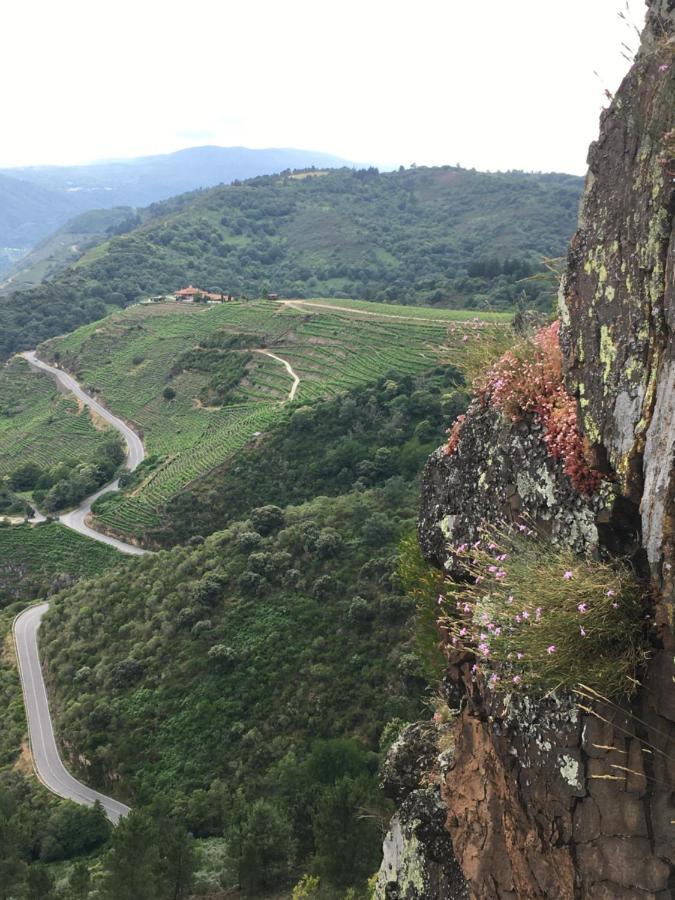 O Fogar Do Monte *
