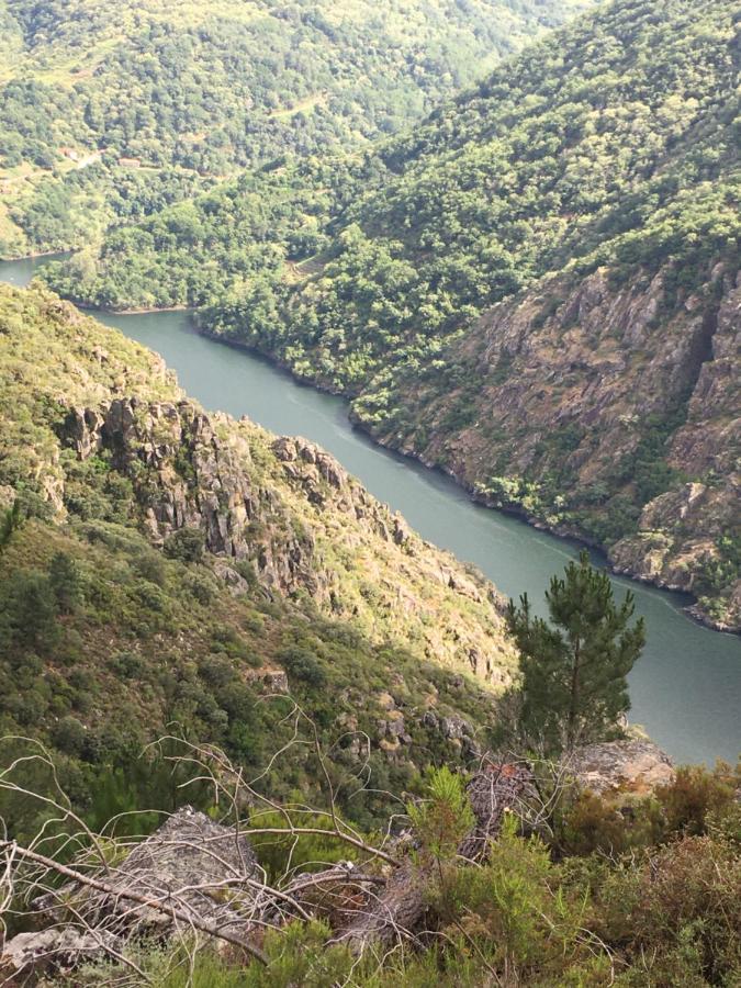 O Fogar Do Monte *