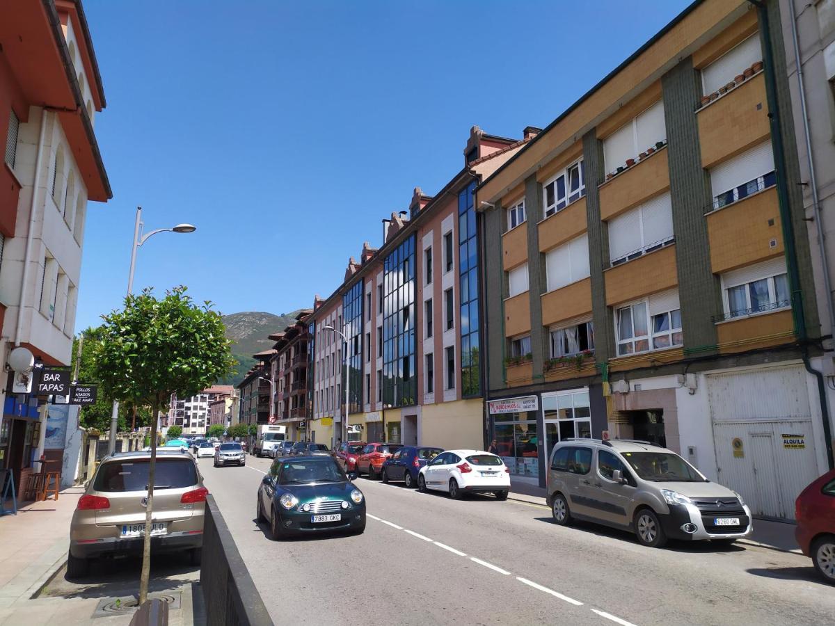 Piso Amplio Y Luminoso- Recien Reformado * Cangas de Onis