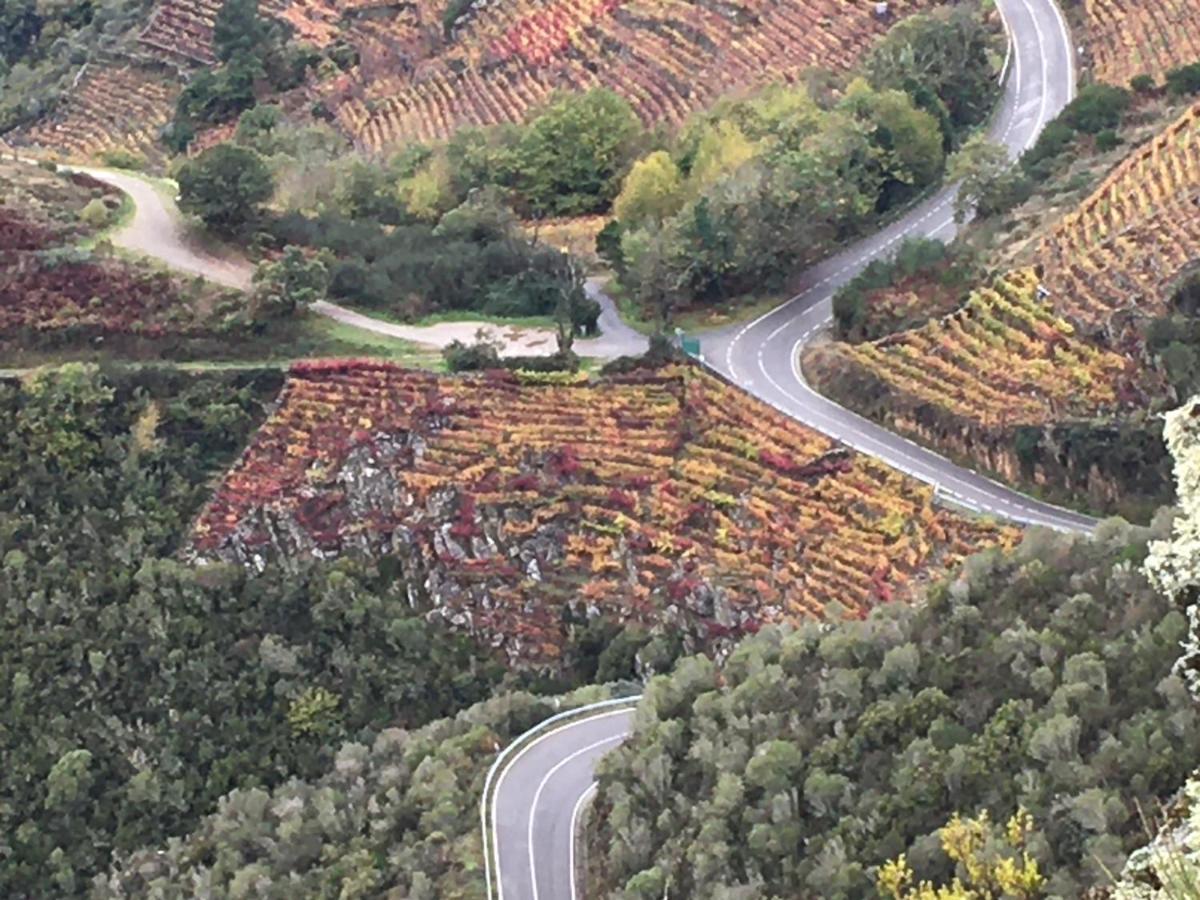 O Fogar Do Monte