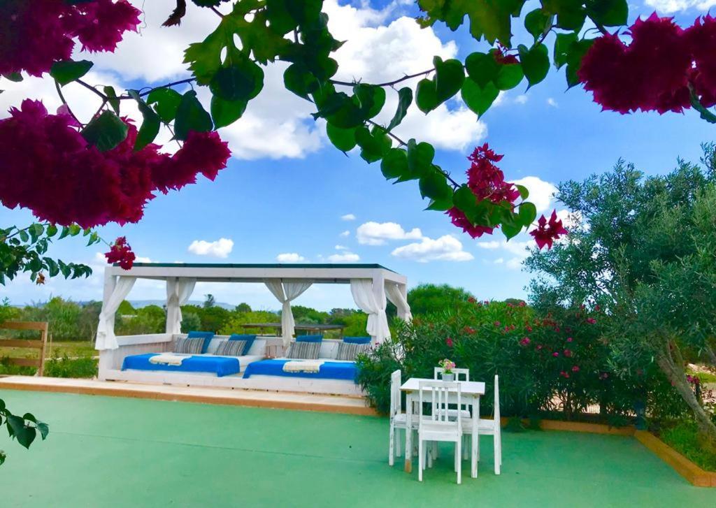 Country house Damia 1