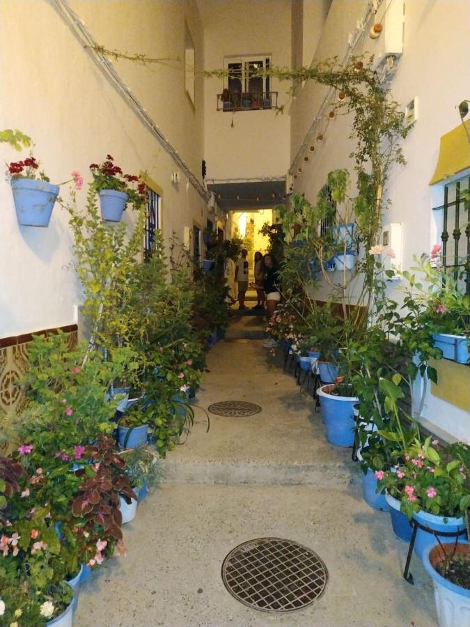 Casa Jurel *