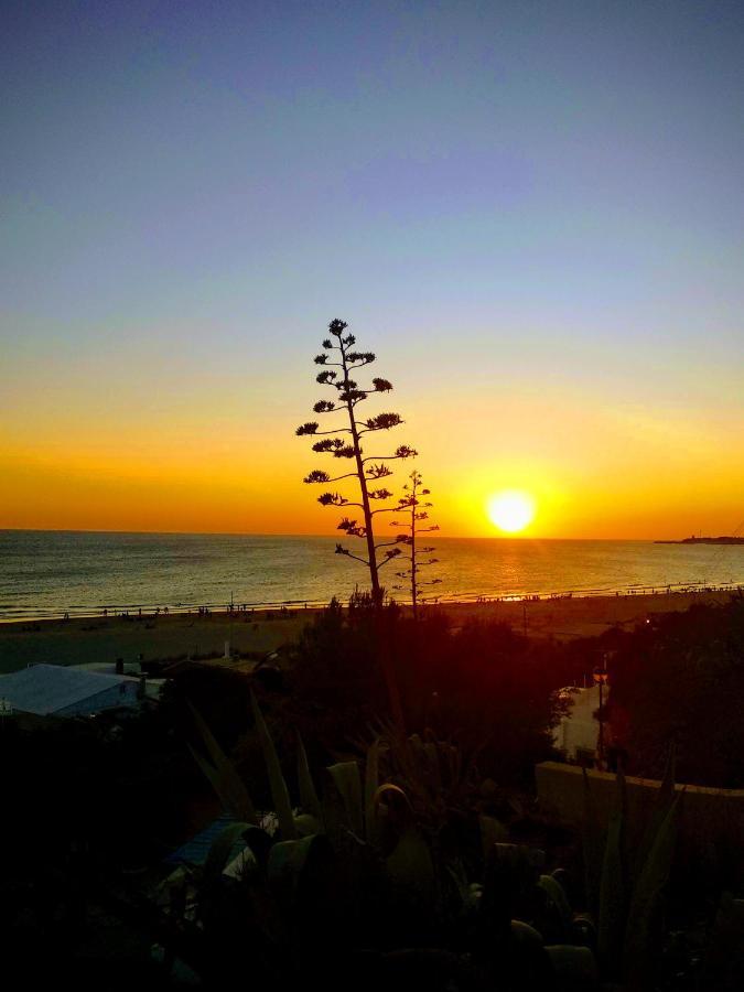 Apartamento Casa Jurel